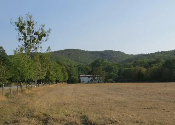 Wolfsholz Apartmán Wernigerode